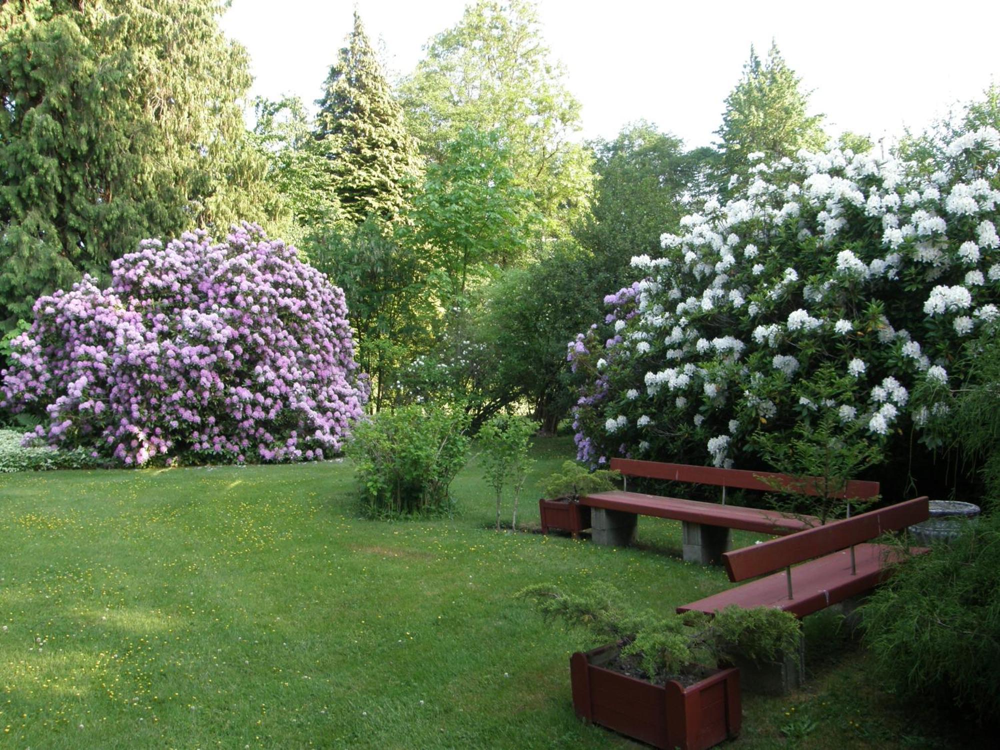 Cedar Wood Lodge Bed & Breakfast Inn Port Alberni Exterior foto