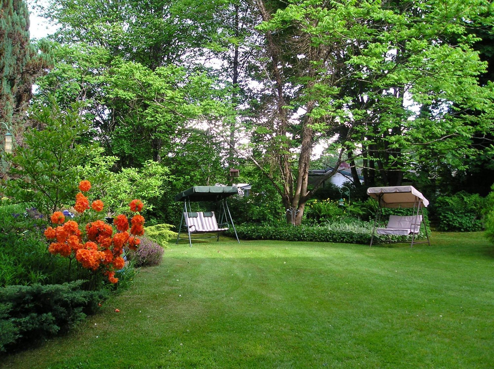 Cedar Wood Lodge Bed & Breakfast Inn Port Alberni Exterior foto